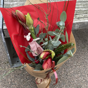 Rde amaryllis og jule-mus ❤️🐭