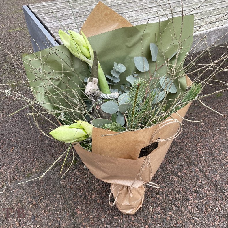 Hvide amaryllis med grn jule-mus 