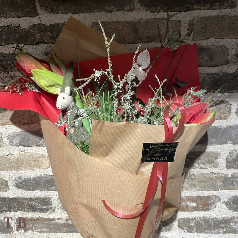 Rde amaryllis med grn julemus 