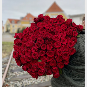 R�de roser - langstilket 